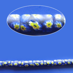 BN002